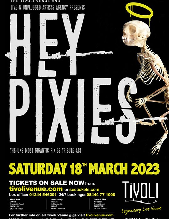 Hey-Pixies_2023_web