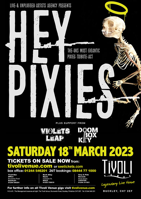Hey-Pixies_2023_web2